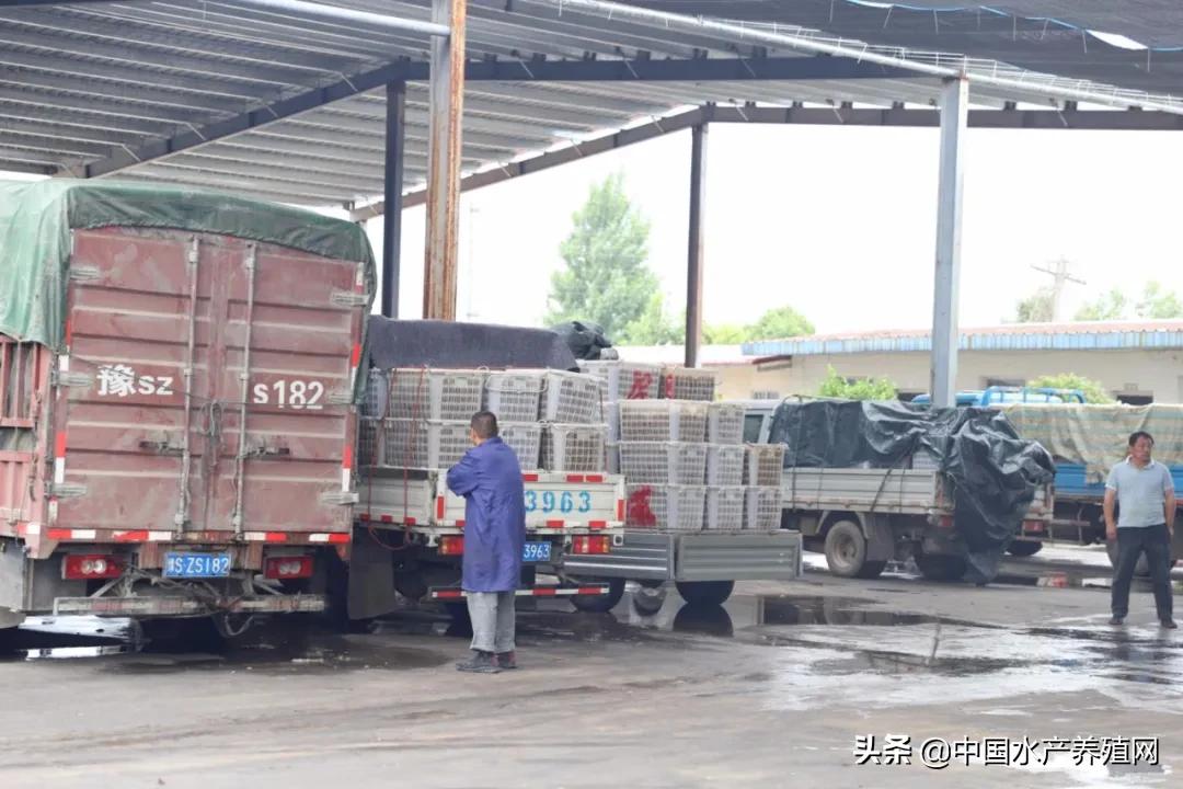 安徽省渔业协会,安徽渔业协会