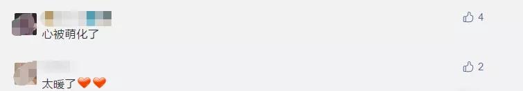 跨越种族的母爱小狗和小猫,跨越种族的母爱狗狗救小猫