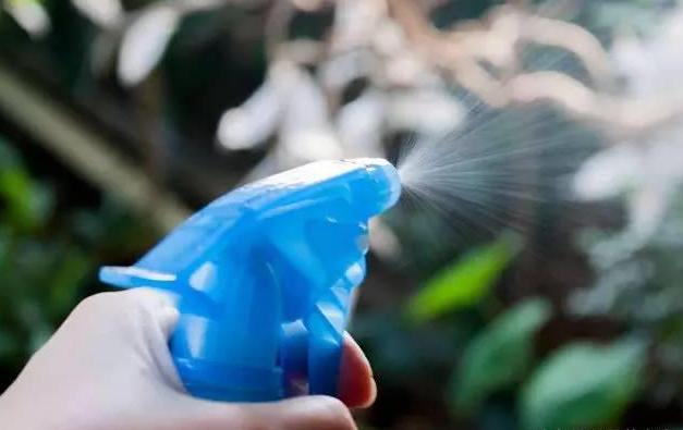 养花长虫子了,养花的水里有虫子怎么杀虫不伤花