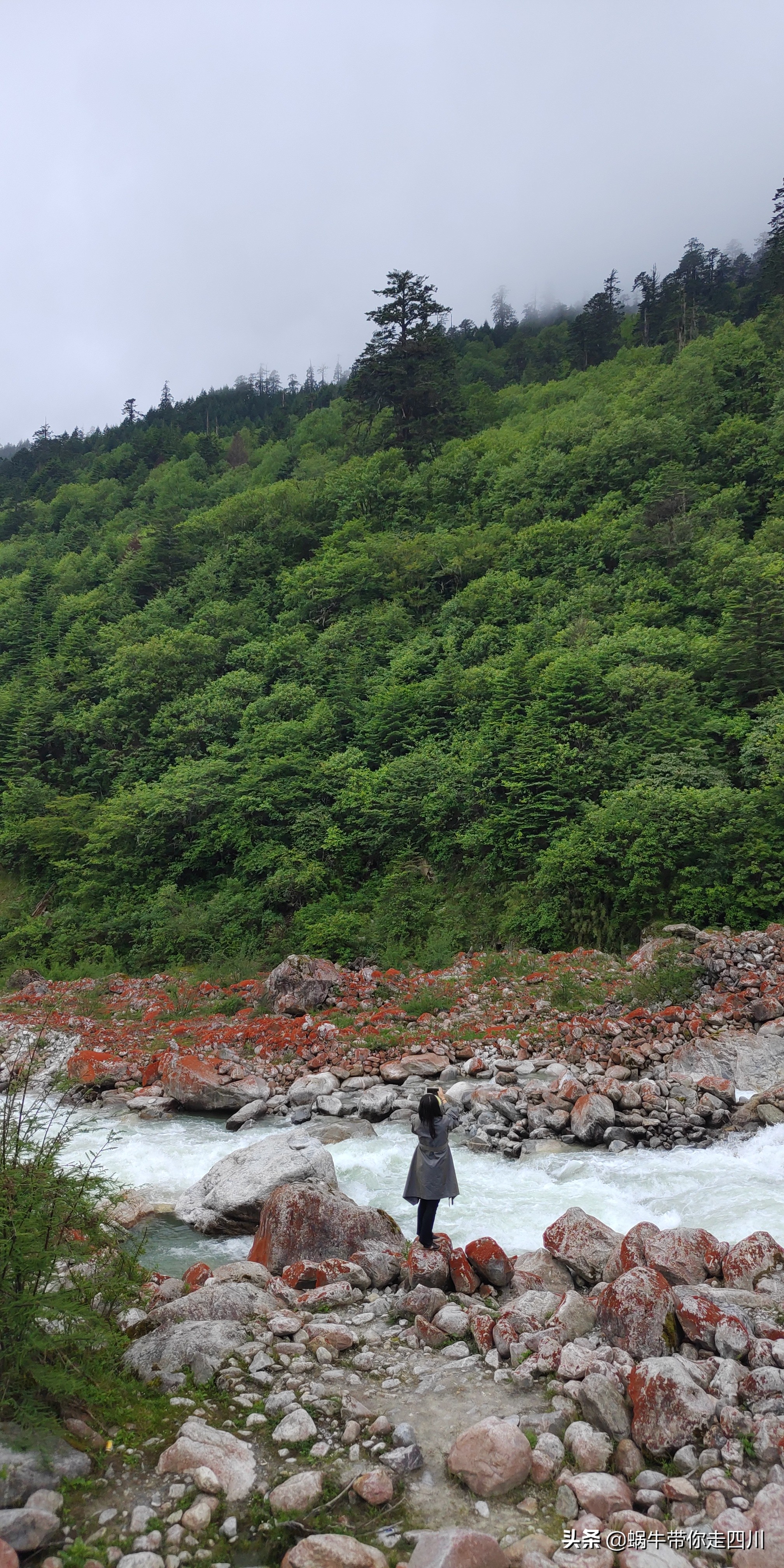 成都出发,一家三口2300元贡嘎神汤喇叭河四日游