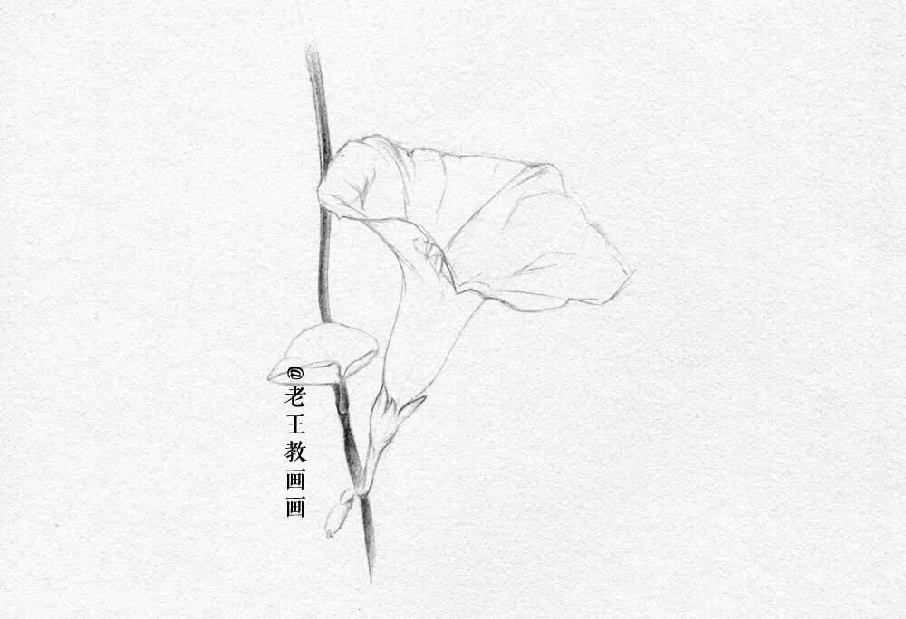 素描小白都在画什么,新手小白画素描人物