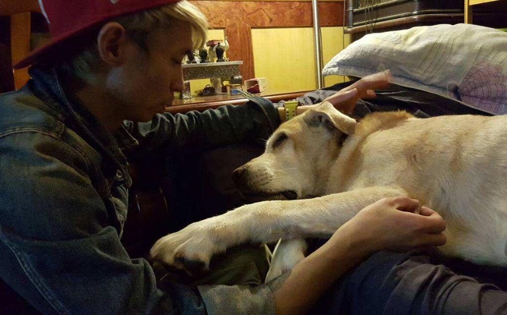 狗狗一天要喝多少水才正常,狗狗一天喂几次水最好