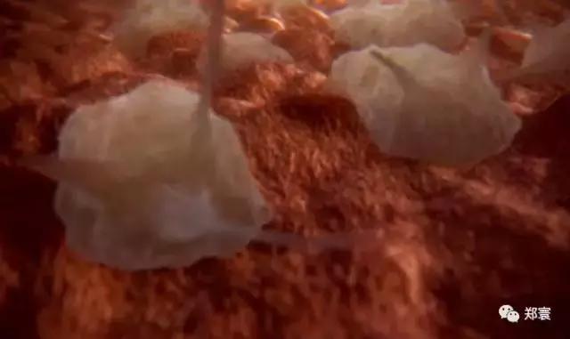 记得！感冒时一定要喂奶