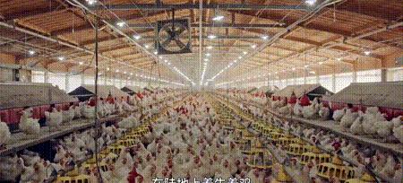 渔业危机纪录片,渔业阴谋纪录片预告