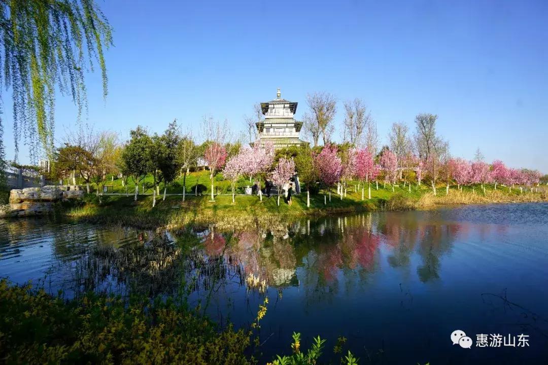 春到泉城之泉城公园,大美宁阳复圣公园