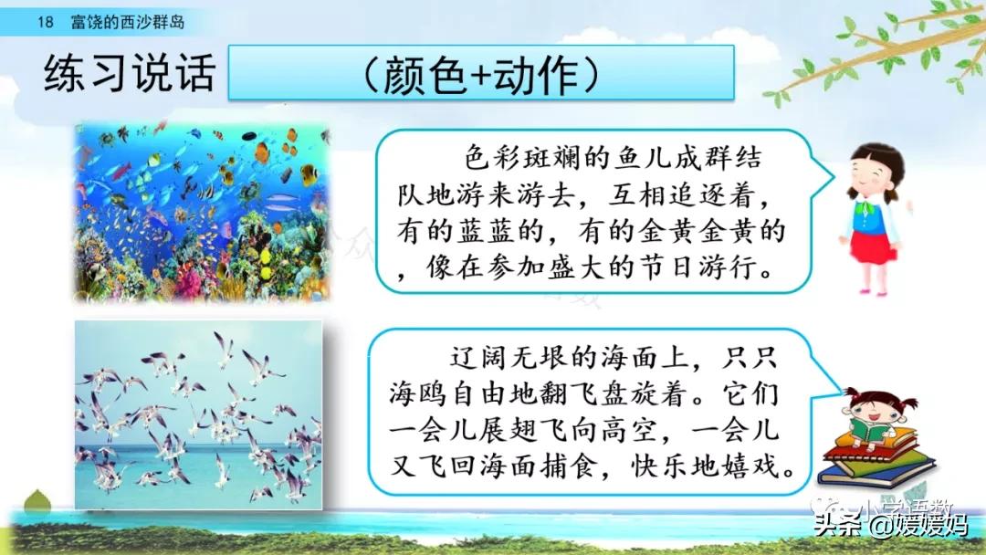 三年级第18课富饶的西沙群岛预习,3年级语文第18课富饶的西沙群岛