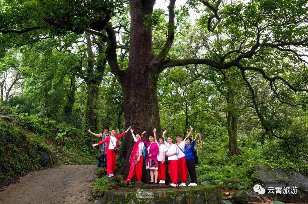 山海闽西南|乐吃、乐游、乐开怀！带上这份攻略，玩转云霄白石村~