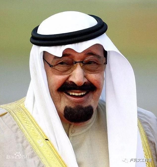 黑凤凰萨勒曼卢克文,黑凤凰小萨勒曼传中