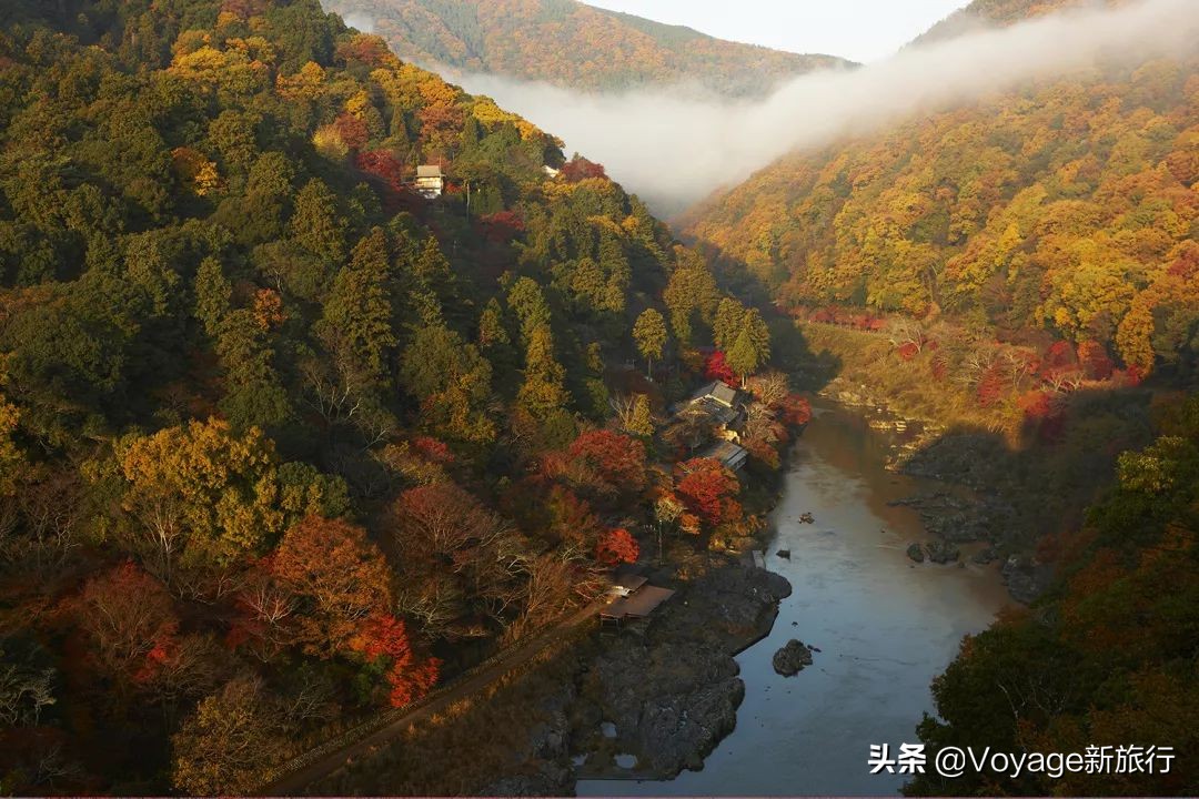 秋天来京都，体验「限定红」的“枫”情万种