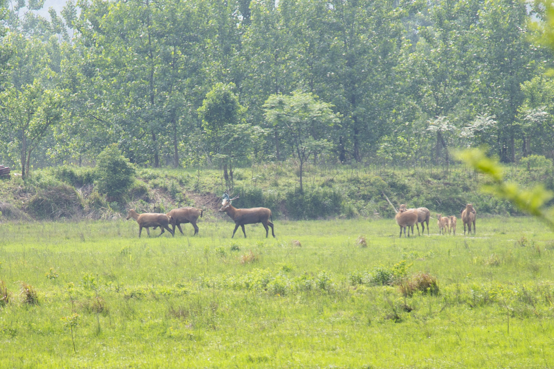 长沙洋沙湖,长沙洋湖附近游玩