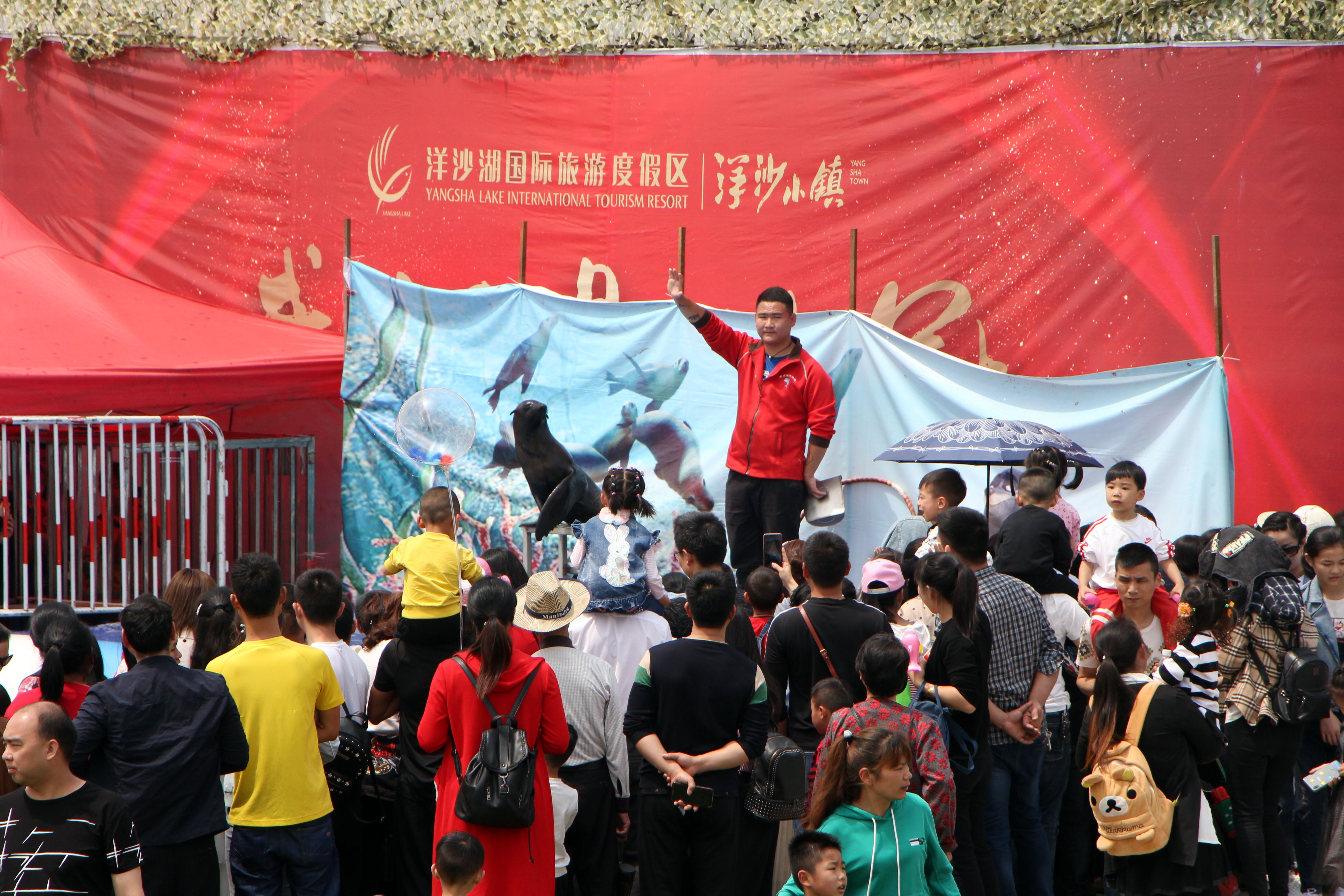 长沙洋沙湖,长沙洋湖附近游玩