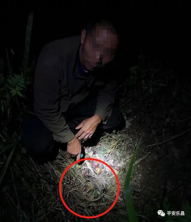 韶关一男子“放夹子”捕野猪，结果把自己捕进“牢笼”