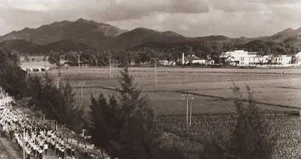 四十年后天堂向右深圳向左,天堂往左深圳往右简介