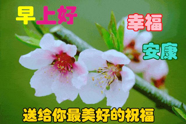 周一早安问候语表情,周一早上好问候语表情