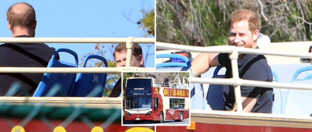 哈里王子脱发,哈里王子秃头吗