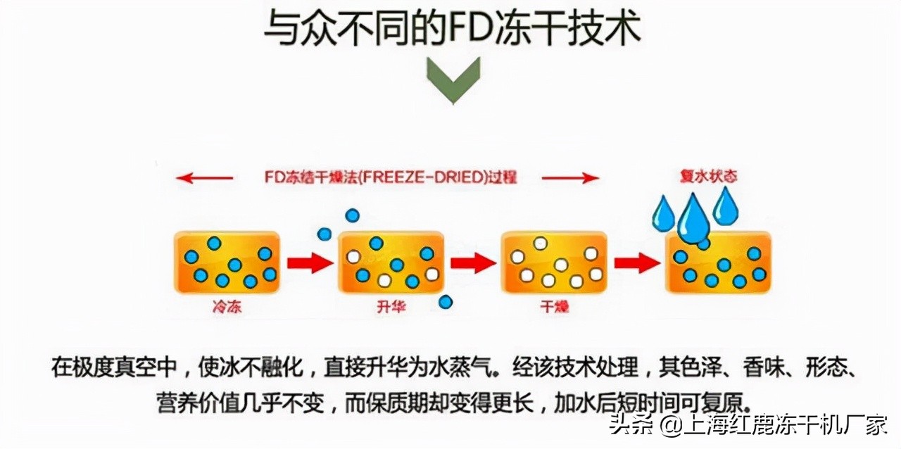 山东大型花椒烘干设备,潍坊花椒干燥设备报价图片