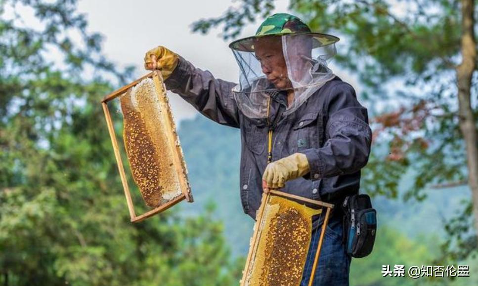 当前农村投资最赚钱的行业有哪些,10000元左右的农村赚钱的小型机器