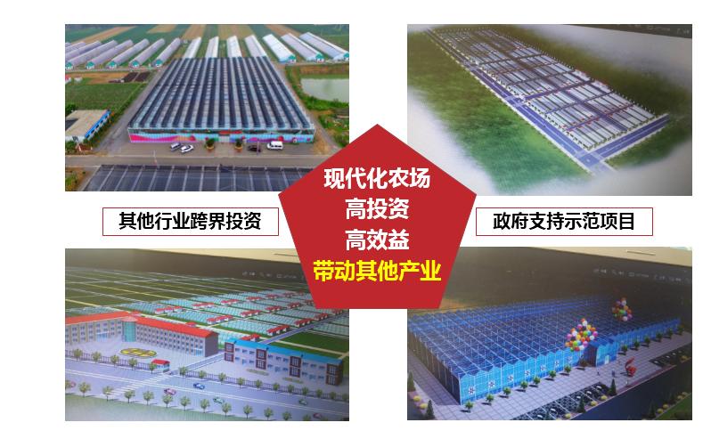 最近几年种草莓可以赚钱吗,今年种草莓你回本了吗