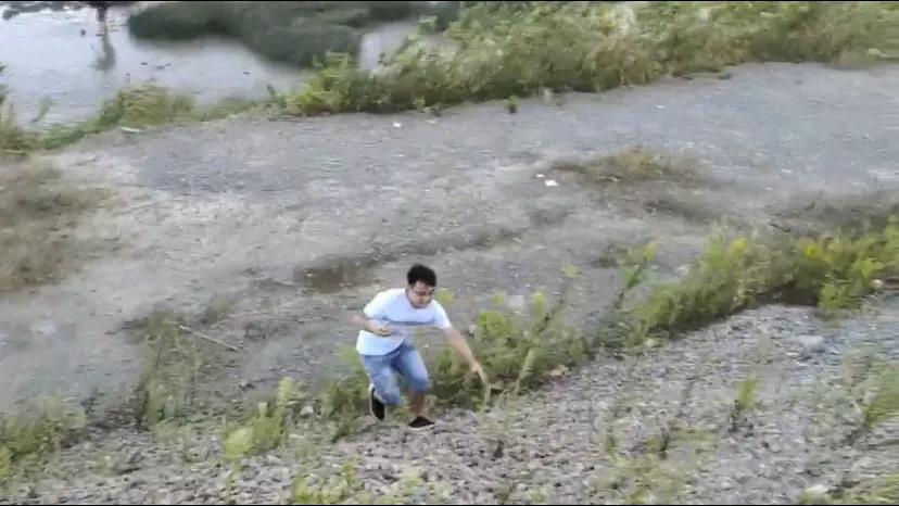 上海哪个地方能看到真正的大海,上海最近景色最好的大海