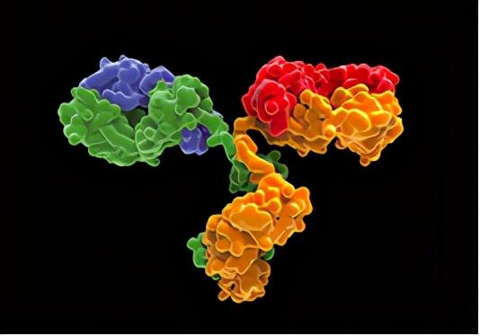 nature重磅揭秘人类抗击糖尿病历史,nature十大科学进展