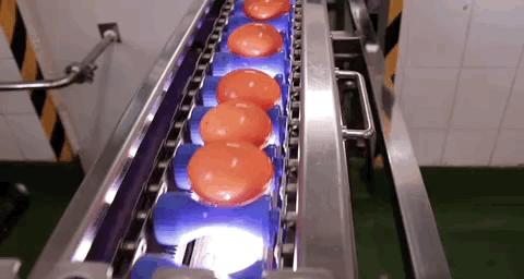 看旺旺的工厂，还以为来到了游乐园