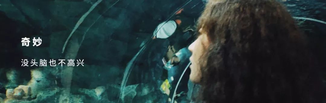 隔离时期的爱,隔离时代的爱情完整版