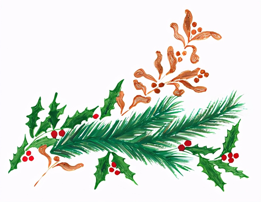 角鲨烯的护肤功效与作用,角鲨烷护肤油真的可以修复屏障吗