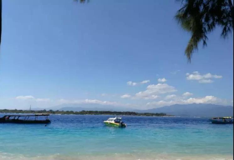 这个女孩独自，走遍韩国、斯里兰卡等数十个国家，却备受质疑