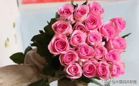 玫瑰花玫红色属于什么品种,最大冠幅玫瑰花是什么品种