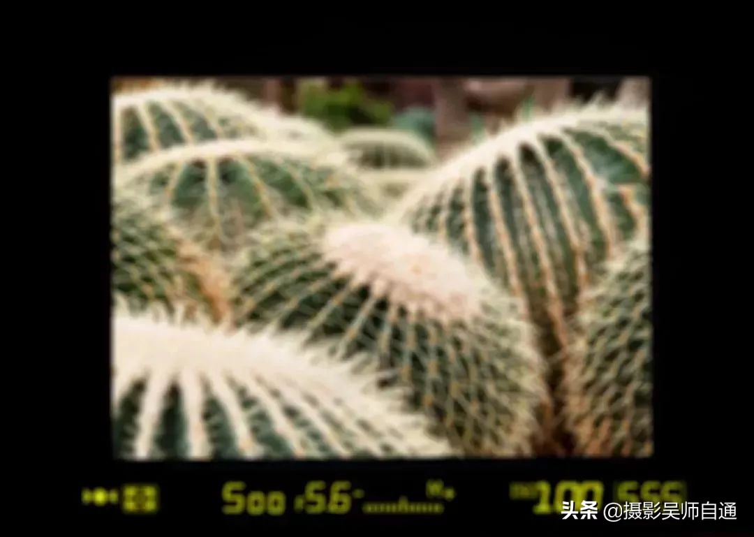 新手小白如何上手相机的各项功能,相机的各个功能介绍