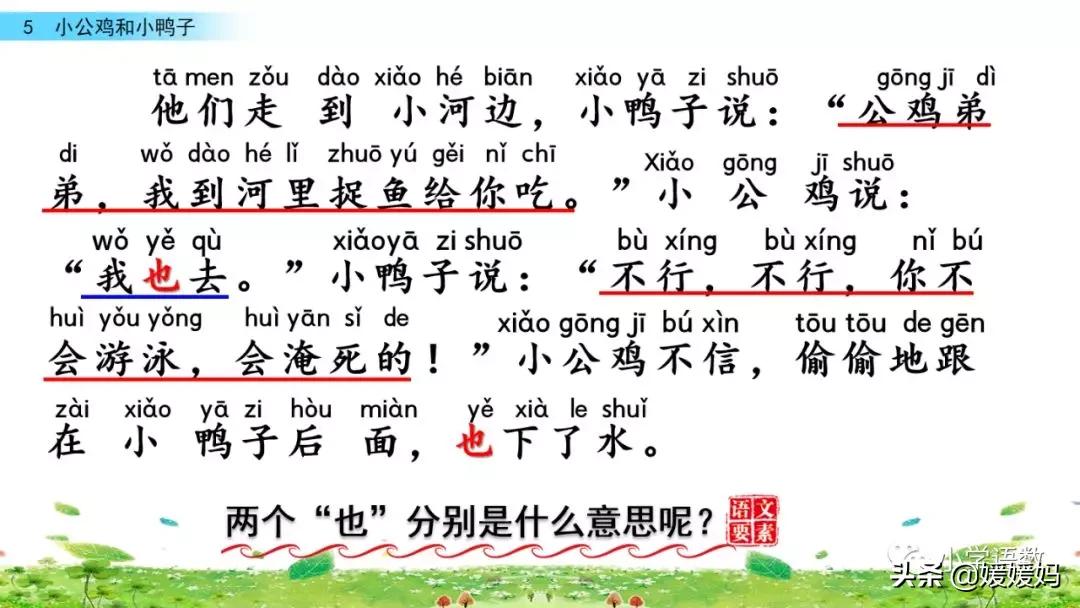 一年级下小公鸡和小鸭子课文重点,小公鸡和小鸭子一年级下册视频