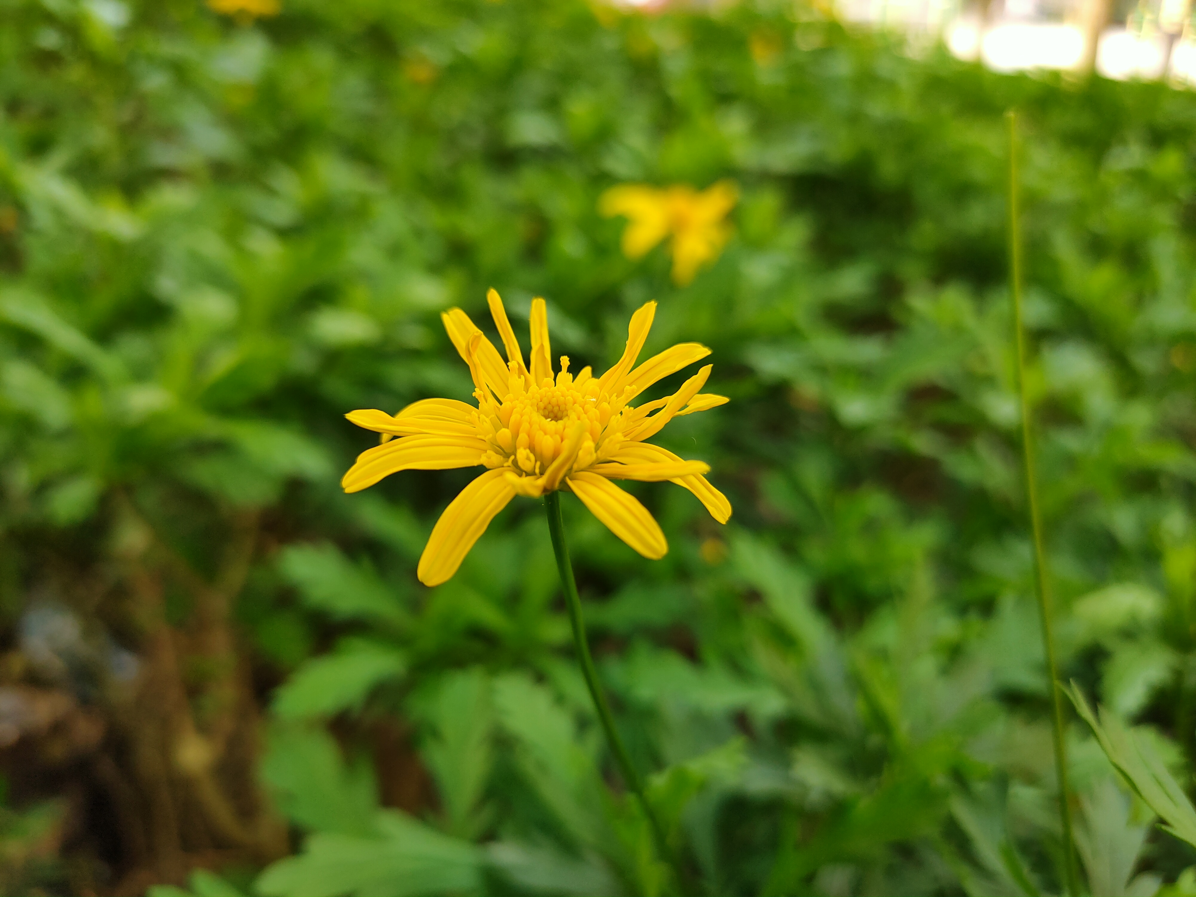 oppo不同价位性价比最高手机,opporeno2和opporeno2z哪个好