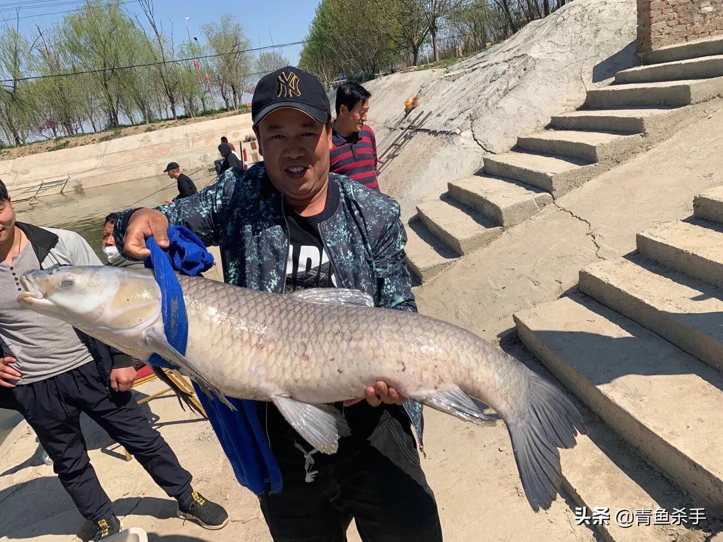 钓椅钓箱哪个最实用,钓椅钓箱到底怎么选