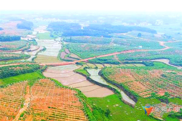 扶贫印记湘阴县,扶贫印记绘蓝图