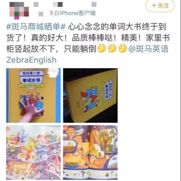 斑马英语盈利模式,斑马英语融资