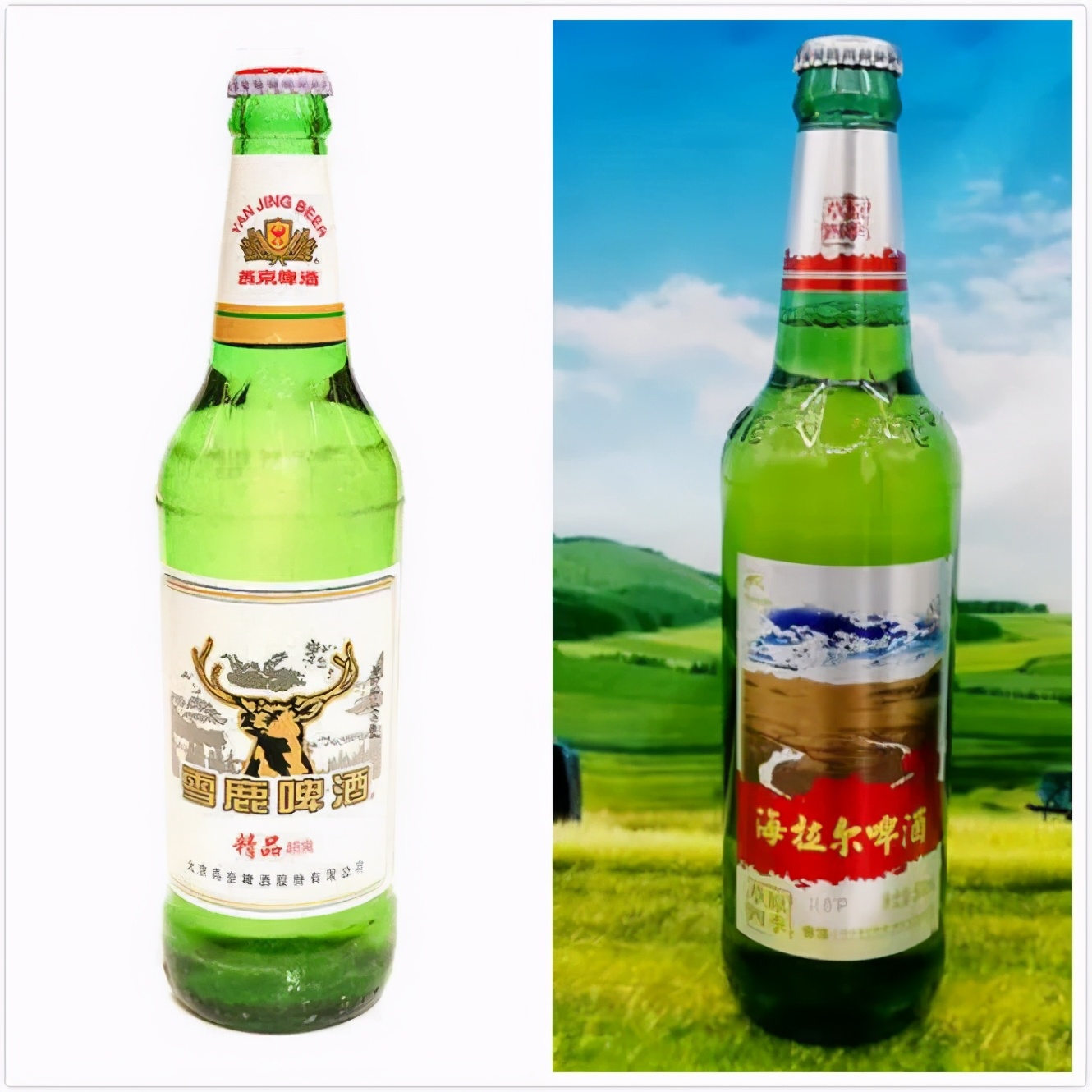 公认最好喝的五款啤酒国产,全国各地都喝哪些啤酒