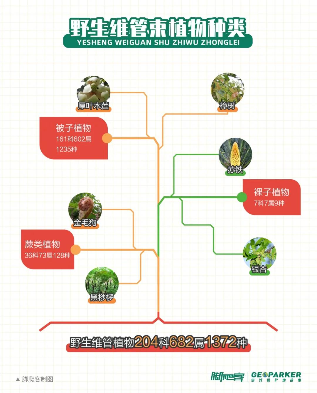 云髻山秋天图片,云髻山有雾凇吗