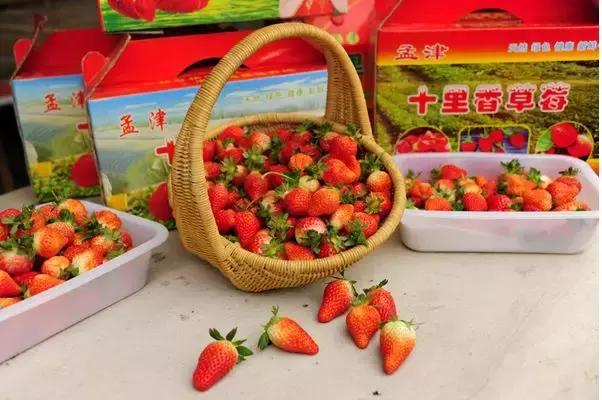 洛阳向全球推介,洛阳向世界发出邀请