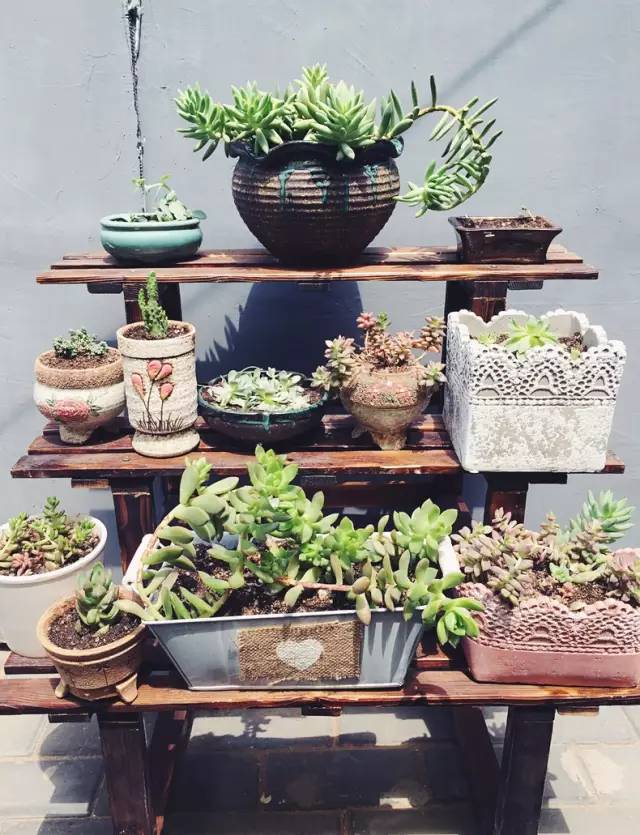 梦想改造家小户型,农村庭院改造效果图大全