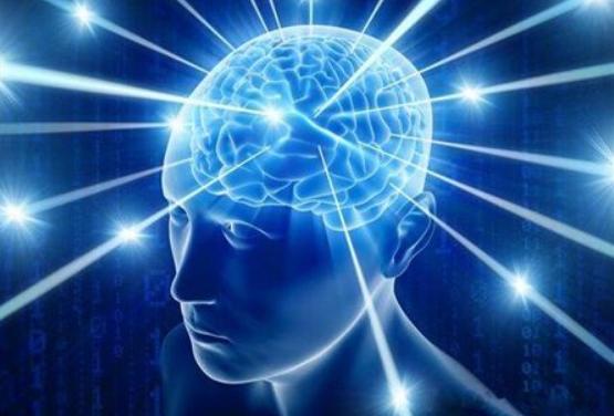 人类的大脑能开发到300%吗,人类大脑被开发百分百会出现什么