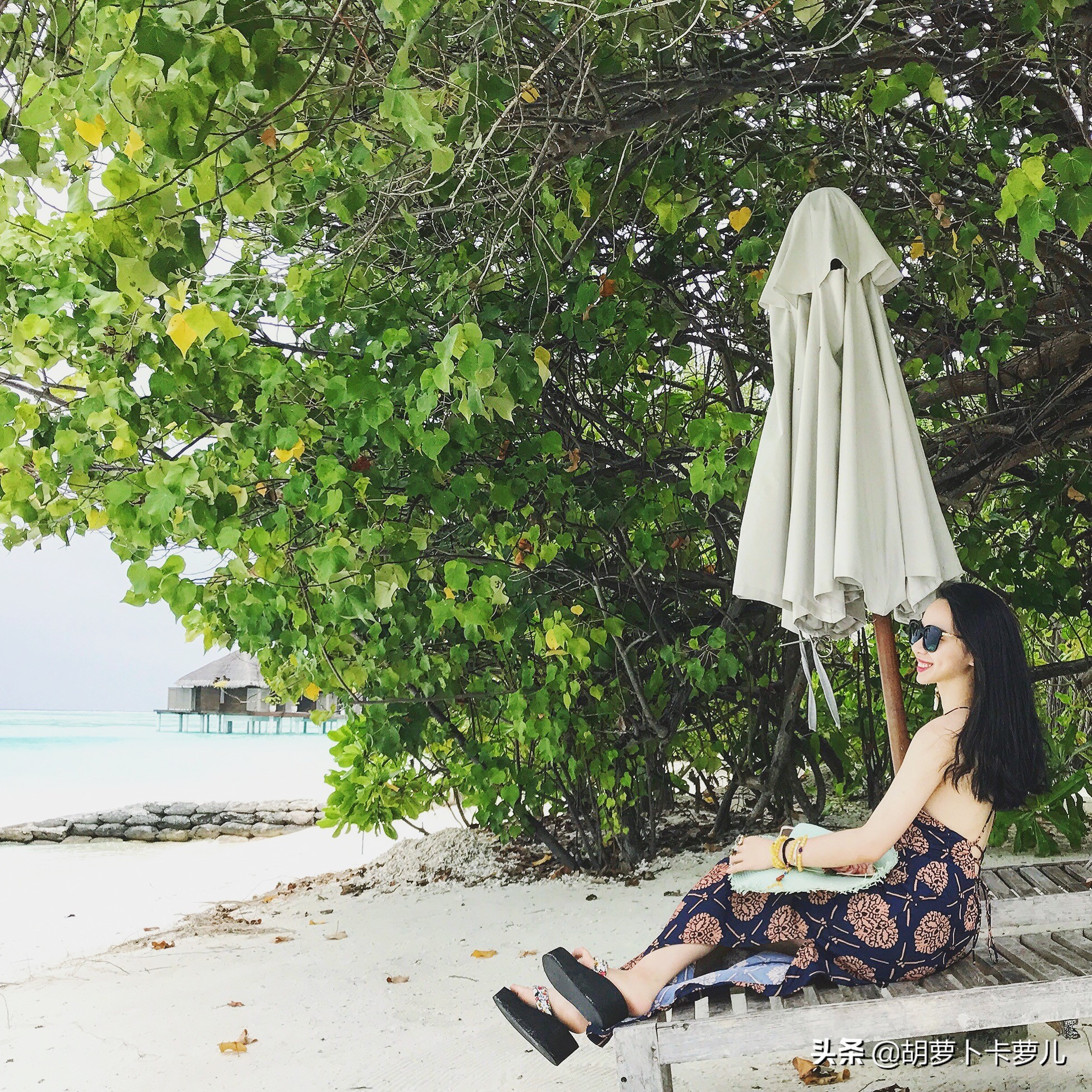 马尔代夫选岛教程,马尔代夫选岛app