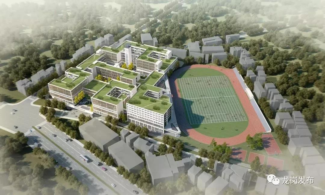 深圳这个区将增2所大学,深圳目前重点发展的几个区域