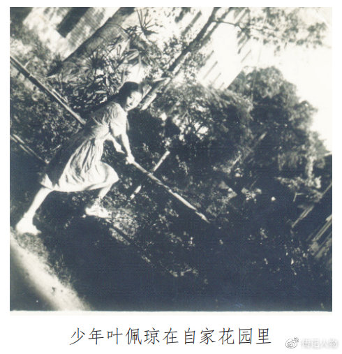 金牌教练李隼的妹妹在日本执教,金牌教练李隼教学视频