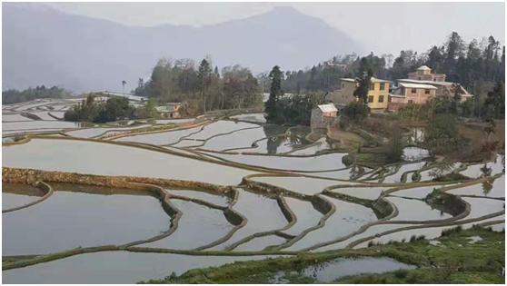 疫情期间农庄消费现状,休闲农庄目前存在共同困境