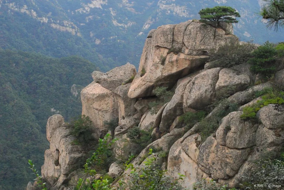 游玩半价票,雁荡山周末半价票