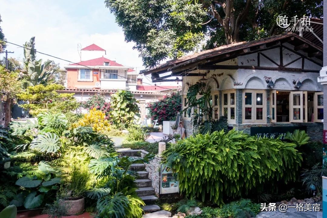 鼓浪屿吃喝,鼓浪屿在哪吃不被坑