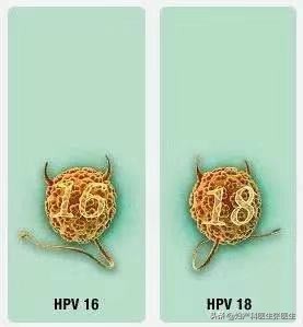 宫颈癌的说法视频,宫颈癌的致病因素宣传