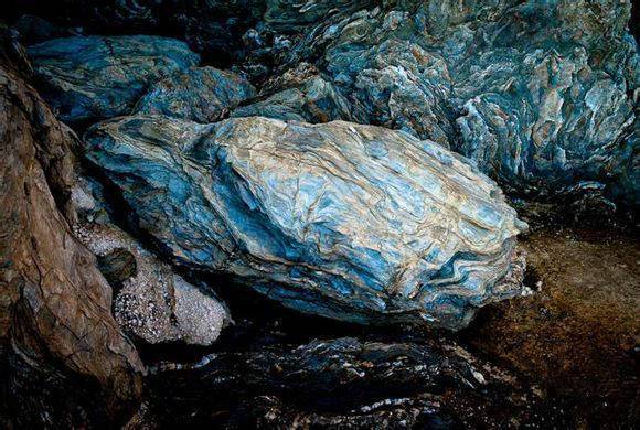 中国海鲜河鲜,市场河鲜海鲜种类大全