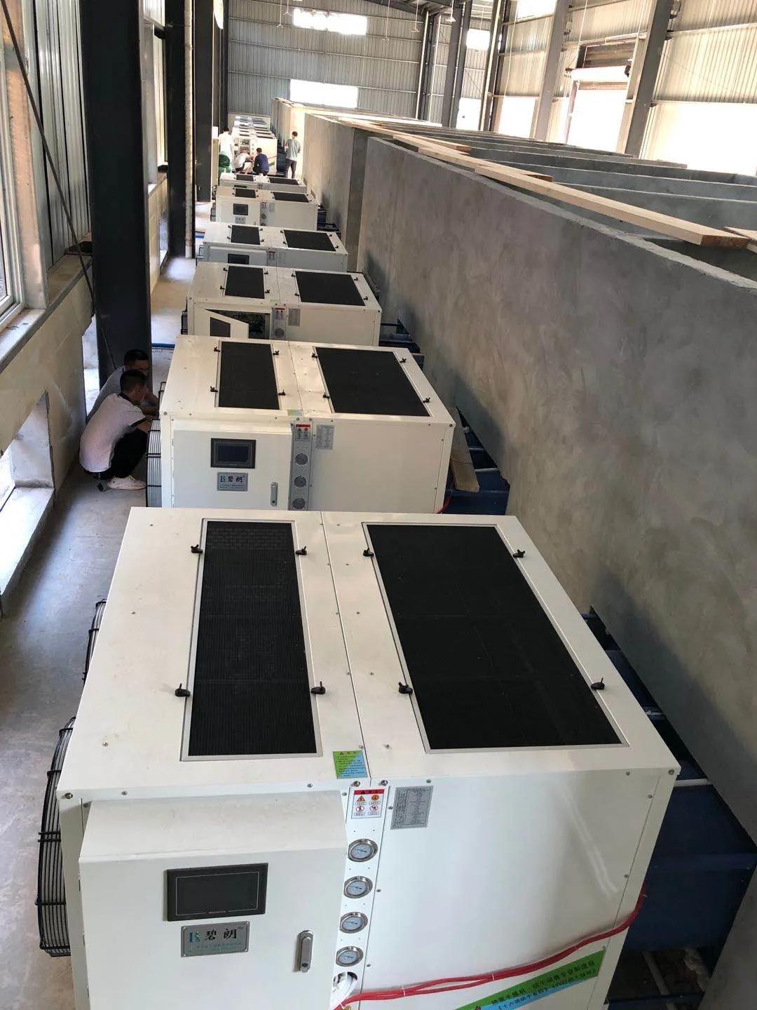 花椒的种植技术和种植前景,花椒的价值和栽培技术