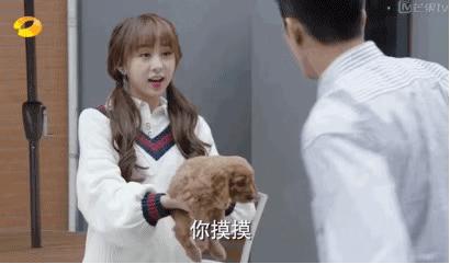 当你有一个机器男朋友是什么体验,恋爱新模式有哪些